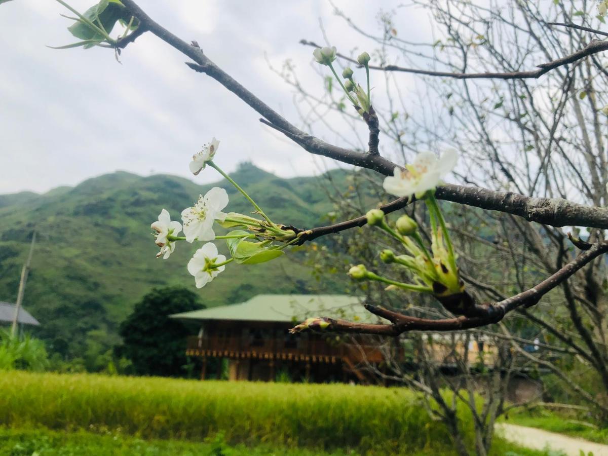 Wild Orchid- Lan Home Làng Cac المظهر الخارجي الصورة
