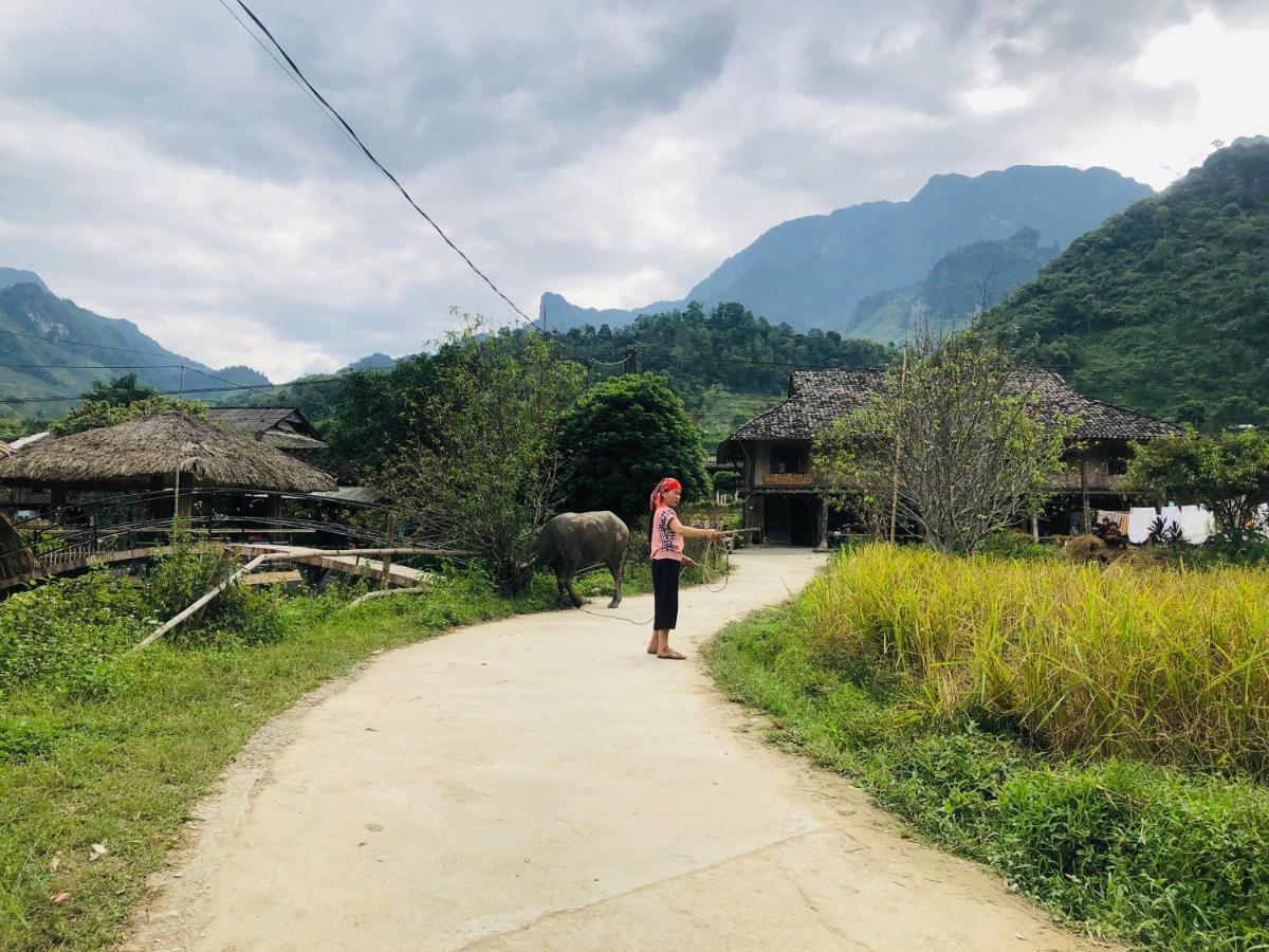 Wild Orchid- Lan Home Làng Cac المظهر الخارجي الصورة