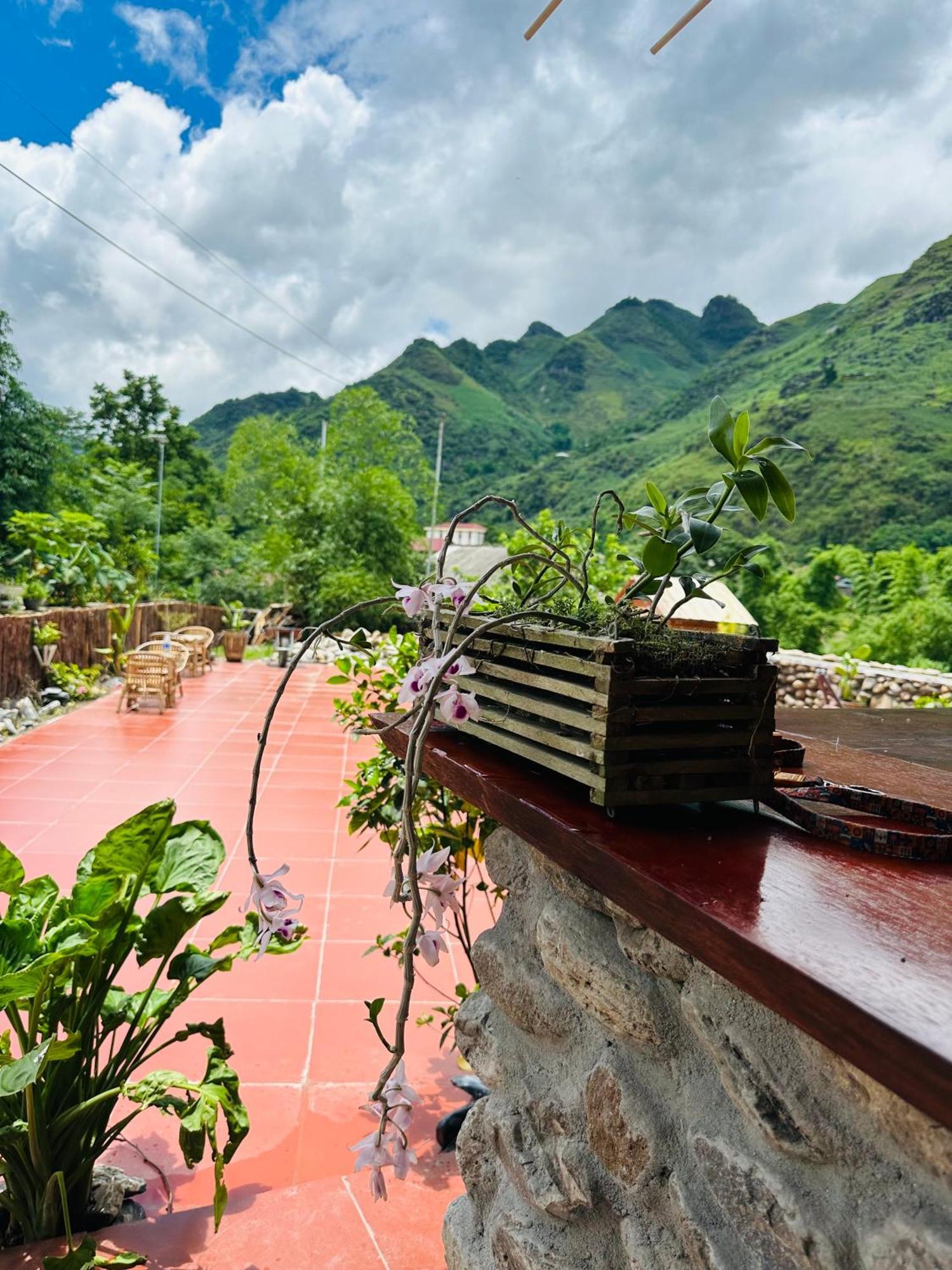 Wild Orchid- Lan Home Làng Cac المظهر الخارجي الصورة