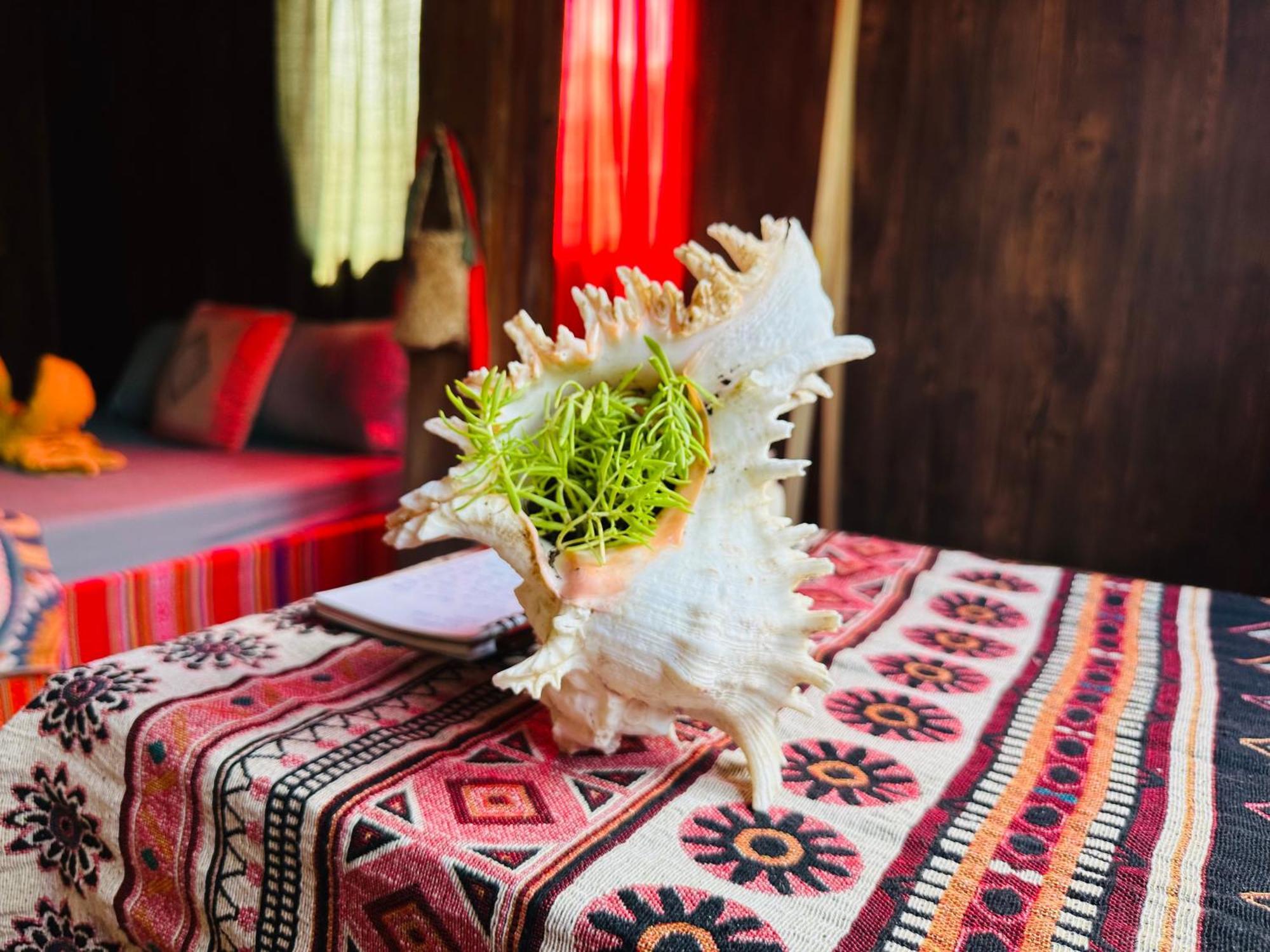 Wild Orchid- Lan Home Làng Cac المظهر الخارجي الصورة